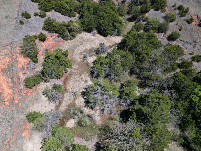 Deer, Hogs, Turkey and fishing on this 160 acre lease in Dewey County - Faust