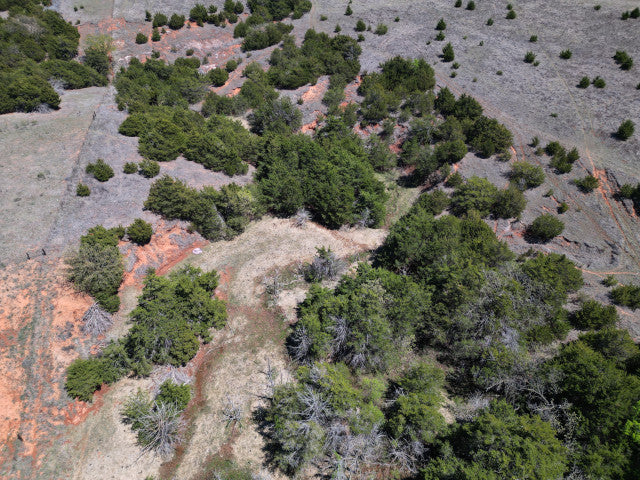 Deer, Hogs, Turkey and fishing on this 160 acre lease in Dewey County - Faust