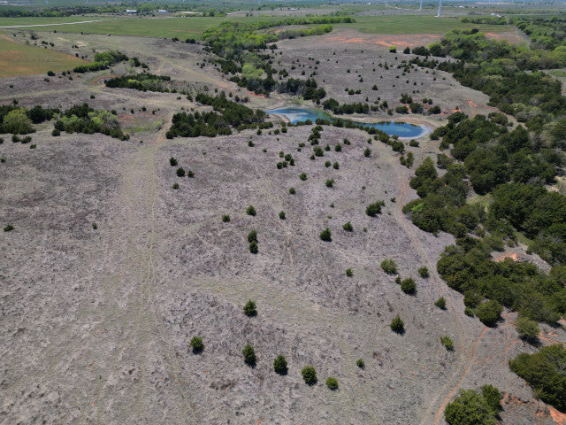 Deer, Hogs, Turkey and fishing on this 160 acre lease in Dewey County - Faust