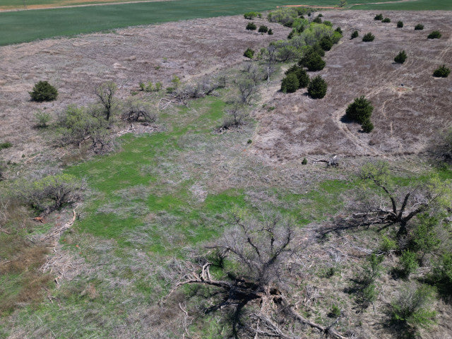 Hotspot for geese 160 acre Lease - Deer/Waterfowl