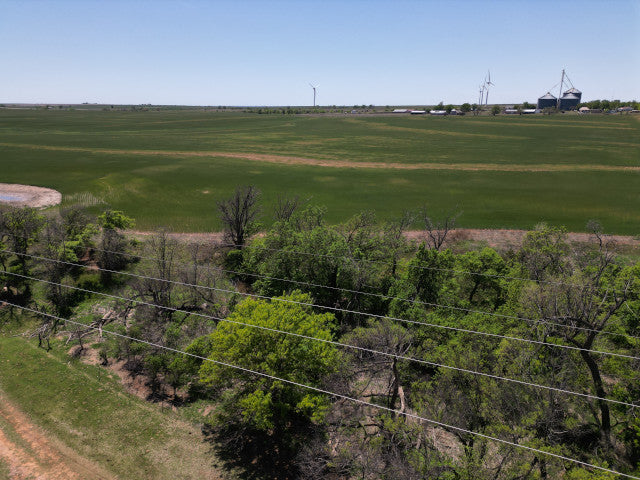Great Deer Herd on 524 acre lease near Putnam - Watershed