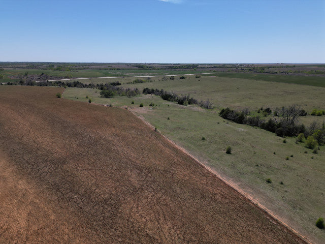 Great Deer Herd on 524 acre lease near Putnam - Watershed