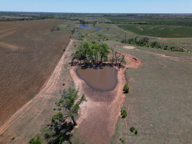 Great Deer Herd on 524 acre lease near Putnam - Watershed