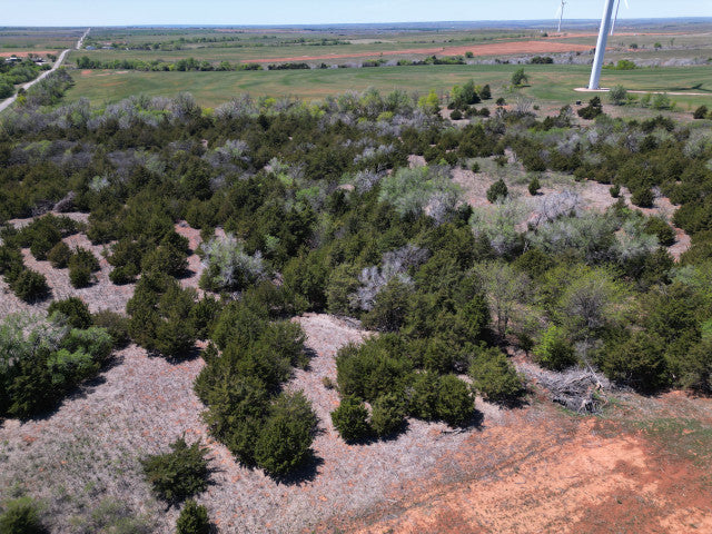 Whitetail Turkey and Hogs on 160 acre Hunting Lease in Dewey County - E Jackson