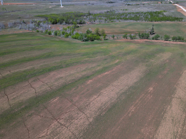 Whitetail Turkey and Hogs on 160 acre Hunting Lease in Dewey County - E Jackson