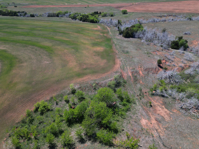 Whitetail Turkey and Hogs on 160 acre Hunting Lease in Dewey County - E Jackson