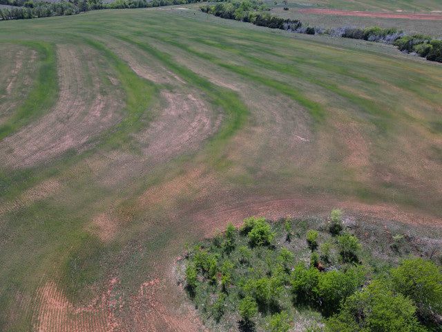 Whitetail Turkey and Hogs on 160 acre Hunting Lease in Dewey County - E Jackson