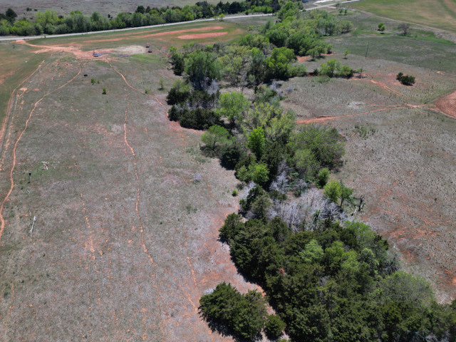 Whitetail Turkey and Hogs on 160 acre Hunting Lease in Dewey County - E Jackson