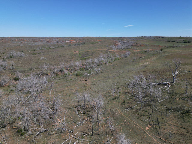 A great 160 acres on the River in Dewey County - RiverT