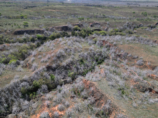Deep Wooly Canyons on 220 acres with River Frontage near Putnam, OK - River Rob