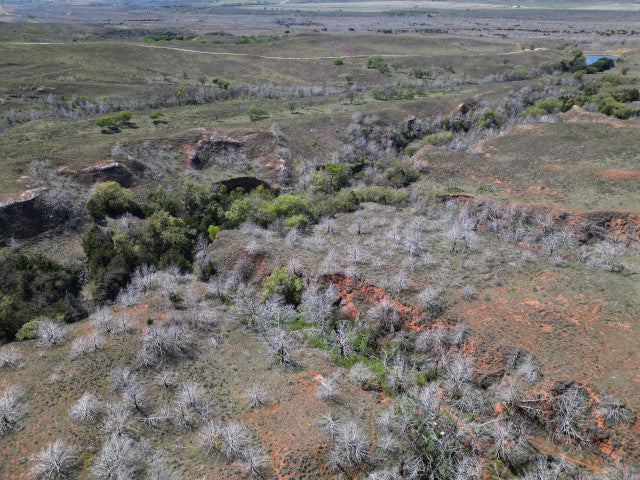 Deep Wooly Canyons on 220 acres with River Frontage near Putnam, OK - River Rob