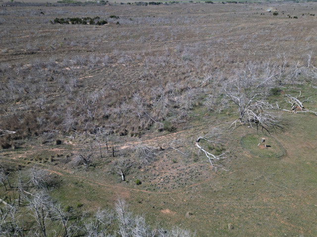 Deep Wooly Canyons on 220 acres with River Frontage near Putnam, OK - River Rob