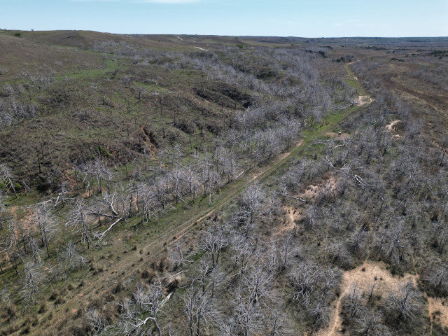 Deep Wooly Canyons on 220 acres with River Frontage near Putnam, OK - River Rob