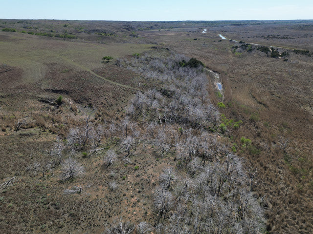 Deep Wooly Canyons on 220 acres with River Frontage near Putnam, OK - River Rob