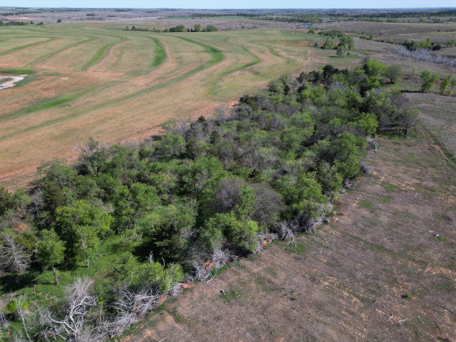 160 acre Hunting Lease with Ravines - Stanton
