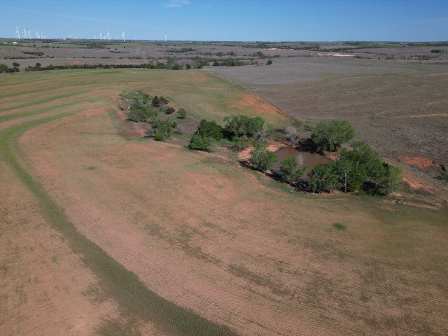 160 acre Hunting Lease with Ravines - Stanton