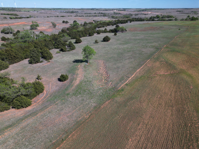 160 acre Hunting Lease with Ravines - Stanton