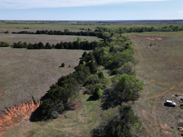 A good producing 160 acre Hunting Lease with great cover - Bowen