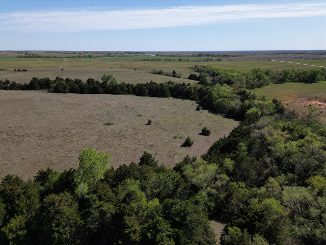 A good producing 160 acre Hunting Lease with great cover - Bowen