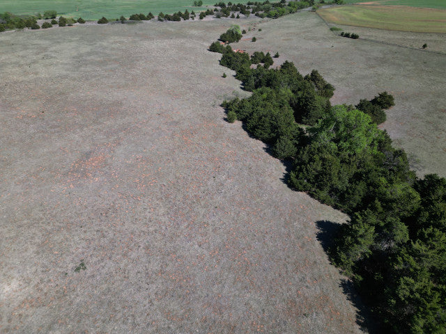 A good producing 160 acre Hunting Lease with great cover - Bowen