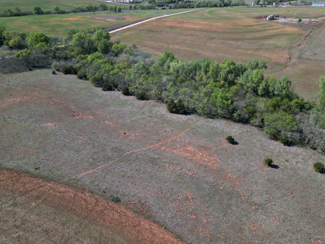 A good producing 160 acre Hunting Lease with great cover - Bowen