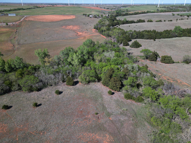 A good producing 160 acre Hunting Lease with great cover - Bowen