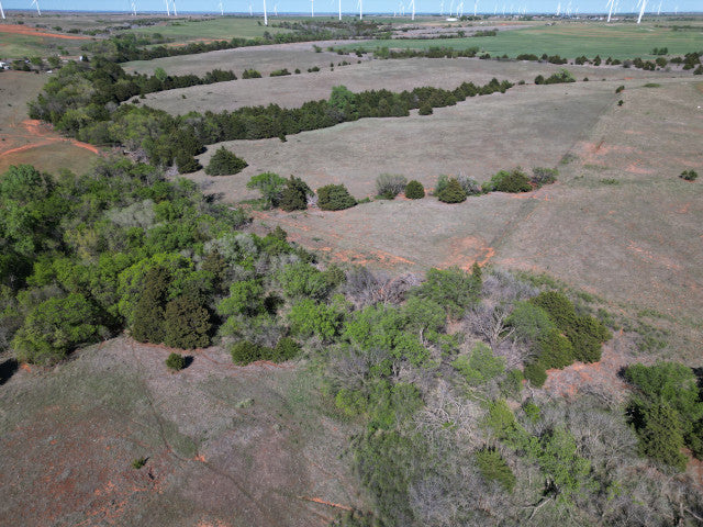 A good producing 160 acre Hunting Lease with great cover - Bowen