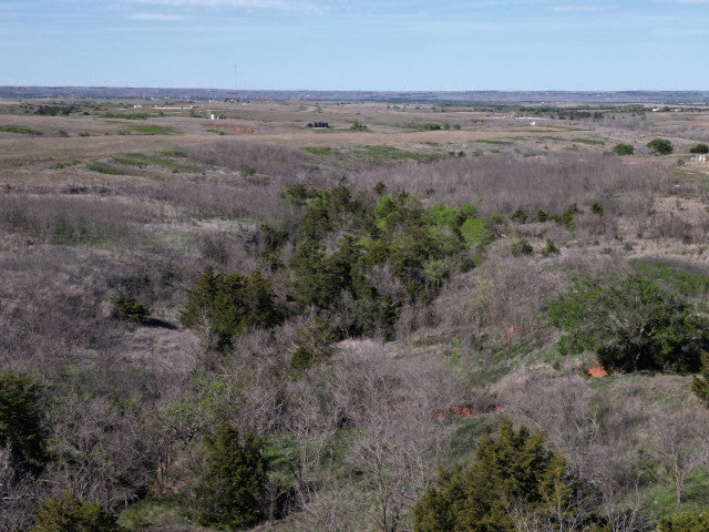 Excellent Quality 160 acre Hunting Lease for 2 Hunters - 4Hicks