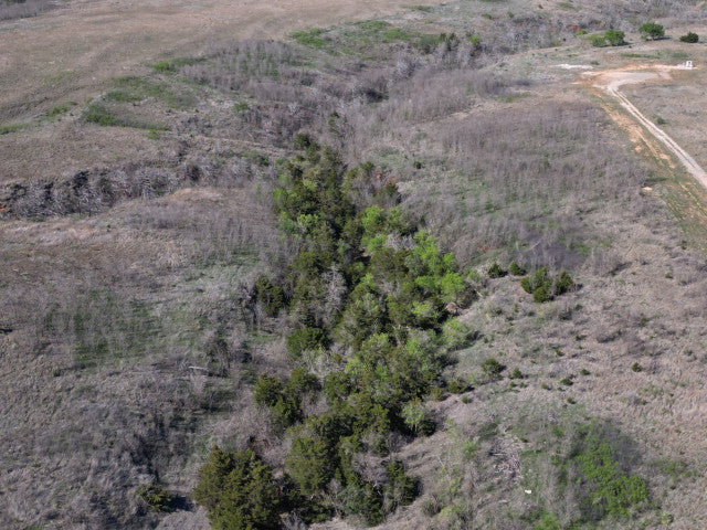 Excellent Quality 160 acre Hunting Lease for 2 Hunters - 4Hicks