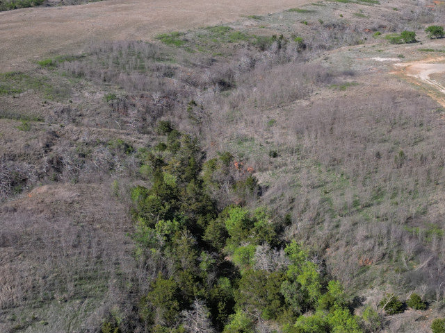 Excellent Quality 160 acre Hunting Lease for 2 Hunters - 4Hicks