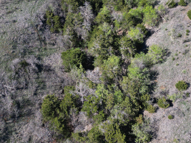 Excellent Quality 160 acre Hunting Lease for 2 Hunters - 4Hicks