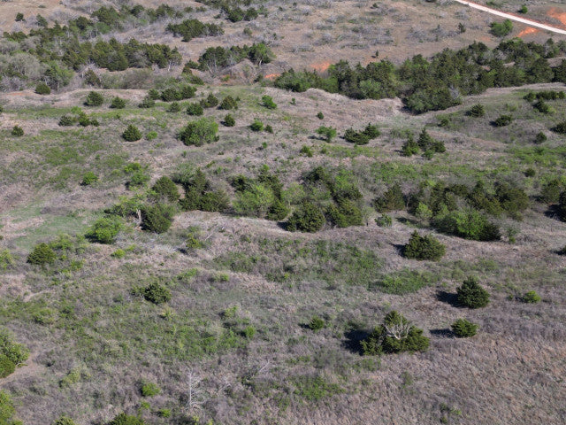 Excellent Quality 160 acre Hunting Lease for 2 Hunters - 4Hicks