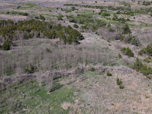 Excellent Quality 160 acre Hunting Lease for 2 Hunters - 4Hicks