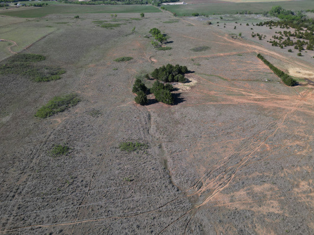 Nice little 120 Acre Lease that wont break the bank in Dewey County - Little Man