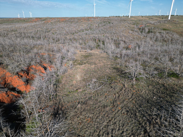 Deep Gnarly Ravines on 360 acres in Dewey County - East Place