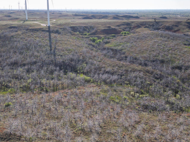 Deep Gnarly Ravines on 360 acres in Dewey County - East Place