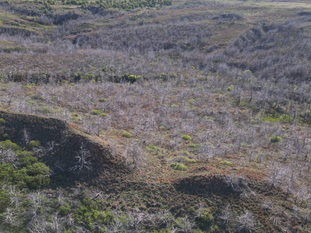 Deep Gnarly Ravines on 360 acres in Dewey County - East Place