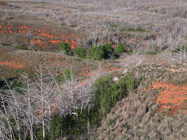 Deep Gnarly Ravines on 360 acres in Dewey County - East Place