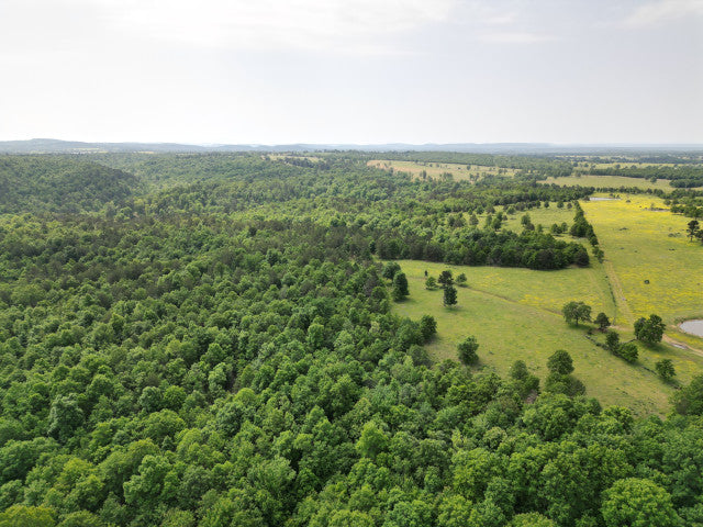 Trophy Whitetail Lease in Scenic Adair County Oklahoma - 800 acres Flying S