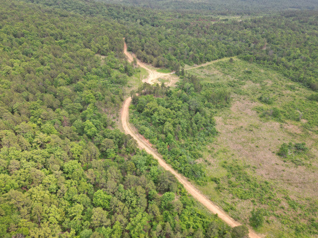 90 Acre Whitetail Hunting Lease in Scenic Leflore County - Ogden Mill