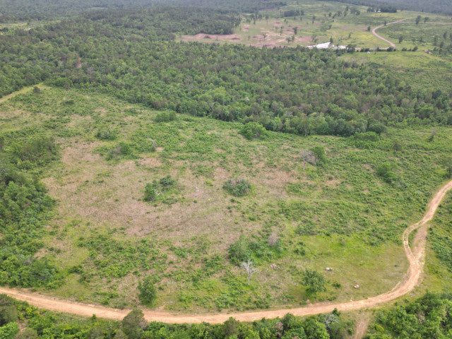 90 Acre Whitetail Hunting Lease in Scenic Leflore County - Ogden Mill