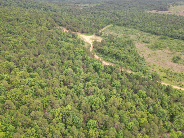 90 Acre Whitetail Hunting Lease in Scenic Leflore County - Ogden Mill