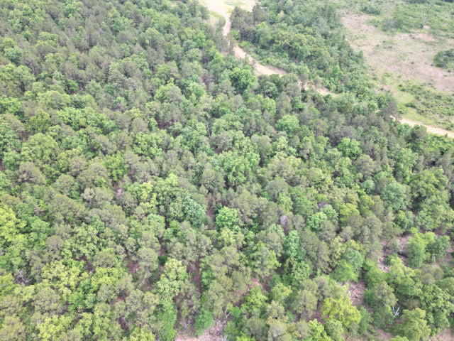 90 Acre Whitetail Hunting Lease in Scenic Leflore County - Ogden Mill