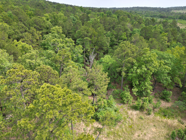 90 Acre Whitetail Hunting Lease in Scenic Leflore County - Ogden Mill