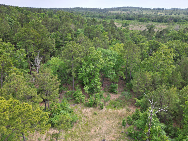 90 Acre Whitetail Hunting Lease in Scenic Leflore County - Ogden Mill