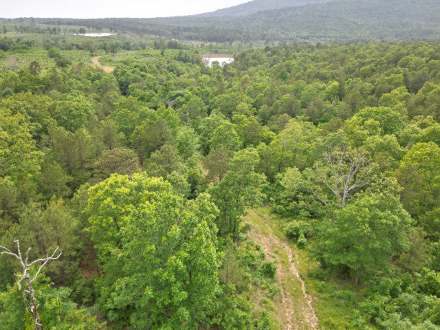 90 Acre Whitetail Hunting Lease in Scenic Leflore County - Ogden Mill