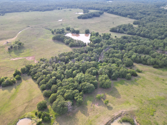 Primetime Hunting on 462 acres in Creek County - Key West North
