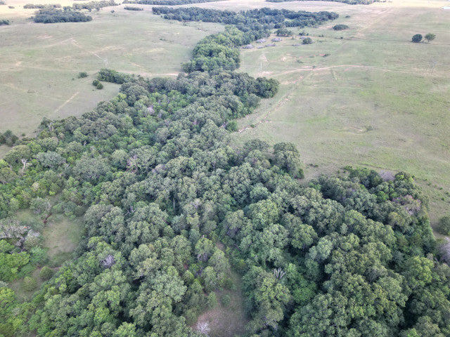 Primetime Hunting on 462 acres in Creek County - Key West North