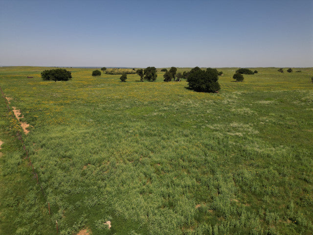 Nice Little Hunting Lease in Woodward County - Sand Hills 40