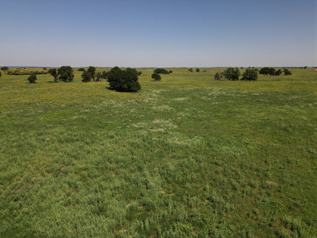 Nice Little Hunting Lease in Woodward County - Sand Hills 40